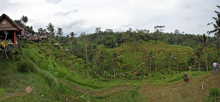 Where to Stay in Bali: Best Neighbourhoods for Every Budget
