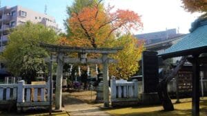 Where to Stay in Tokyo: The 6 Best Neighborhoods (2026)