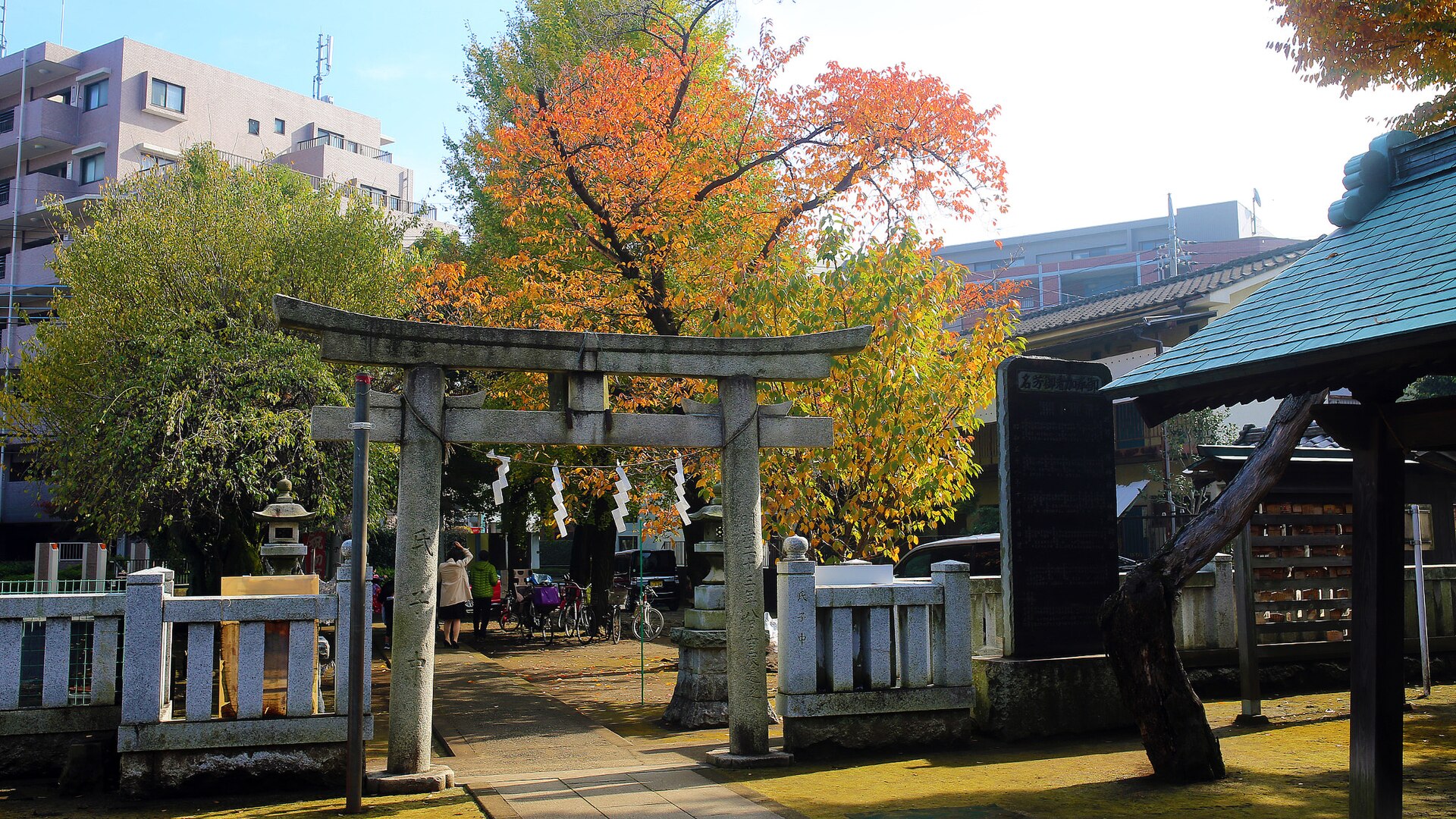 5 Day Tokyo