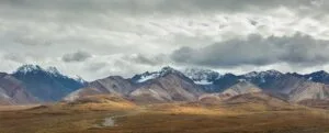 Best Alaska Cruises 2026: Real Guide