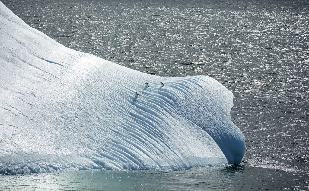 Antarctica