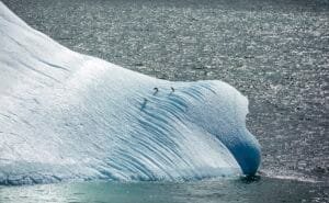 Adventure Travel to Antarctica: Real Guide (2026)