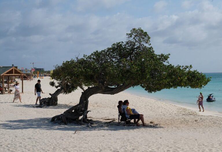 Best Time to Visit Aruba (2026 Local Guide)