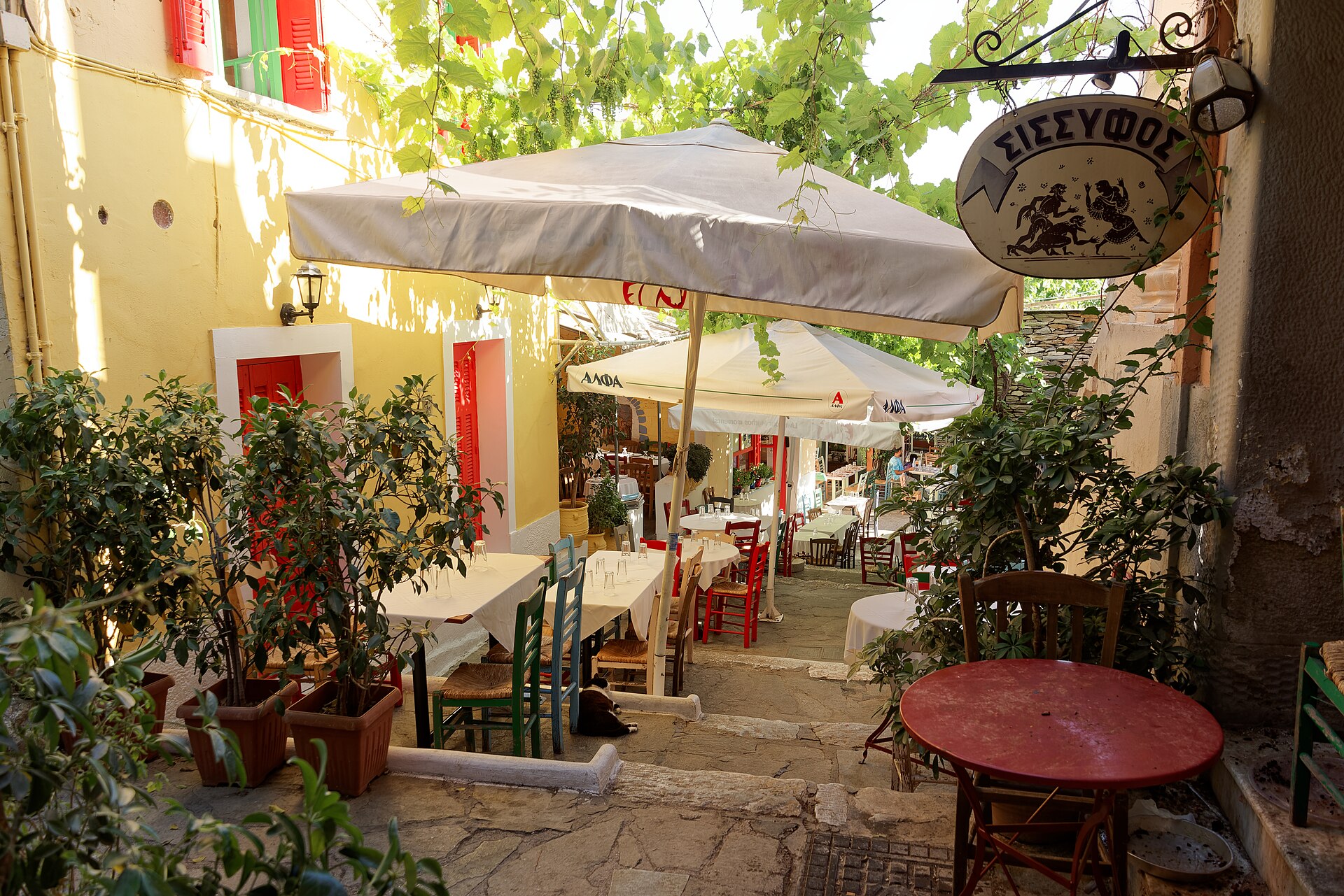 Athens's in This Guide in Athens