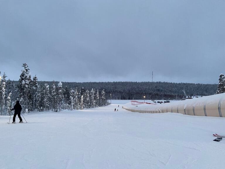 Skier on a gentle snow slope among pines at Levi, Finland