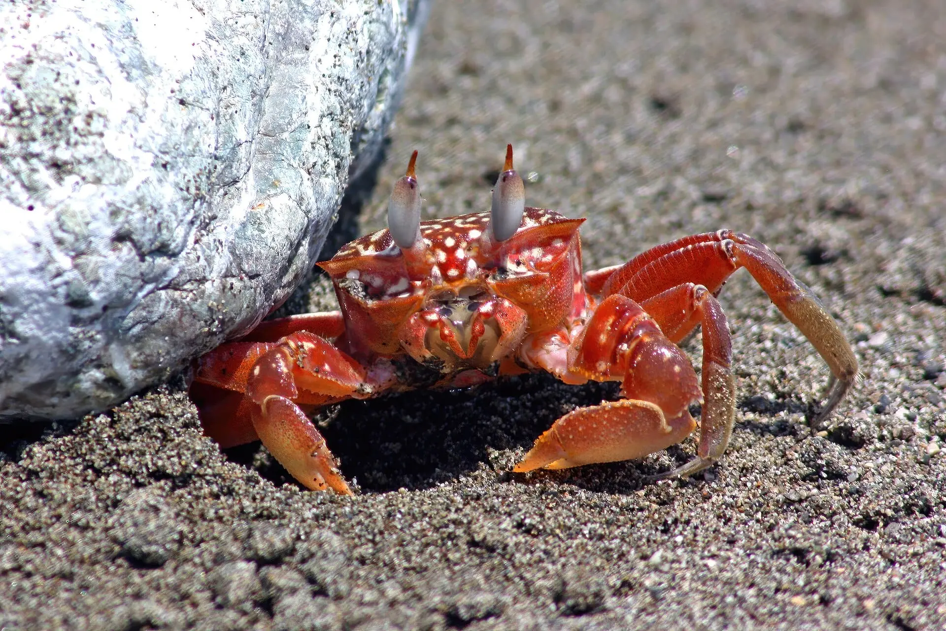 Costa Rica — Osa Peninsula