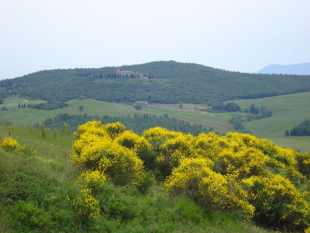 Crete