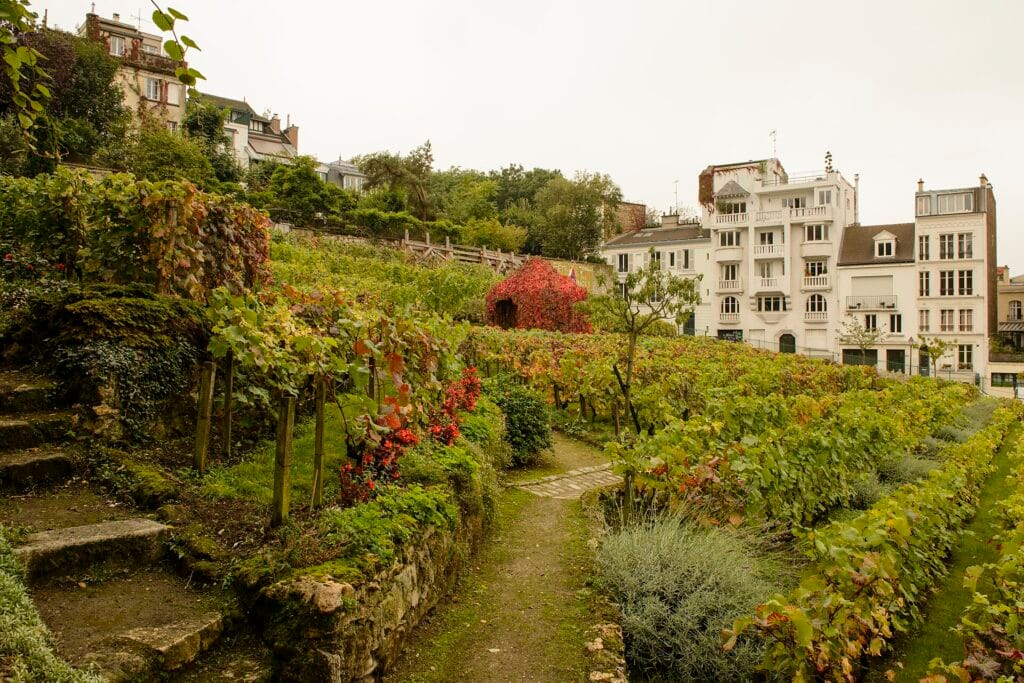 Day Trips From Cape Town
