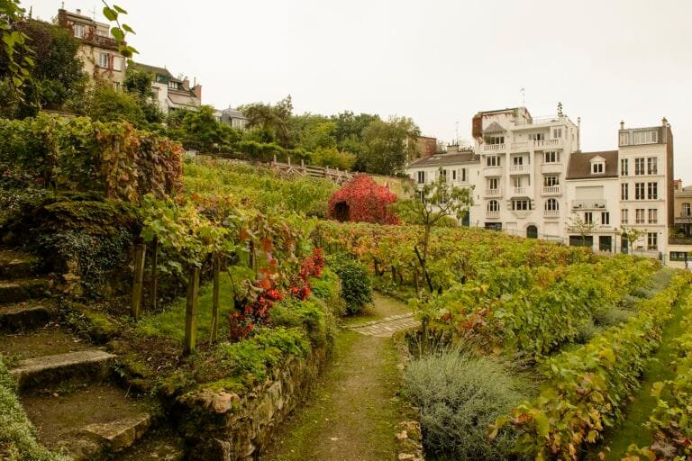 Day Trips From Cape Town