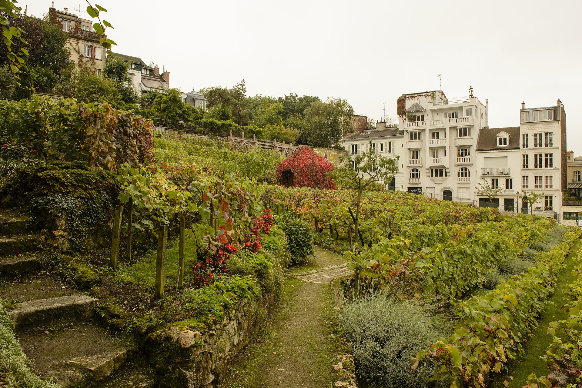 Day Trips From Cape Town