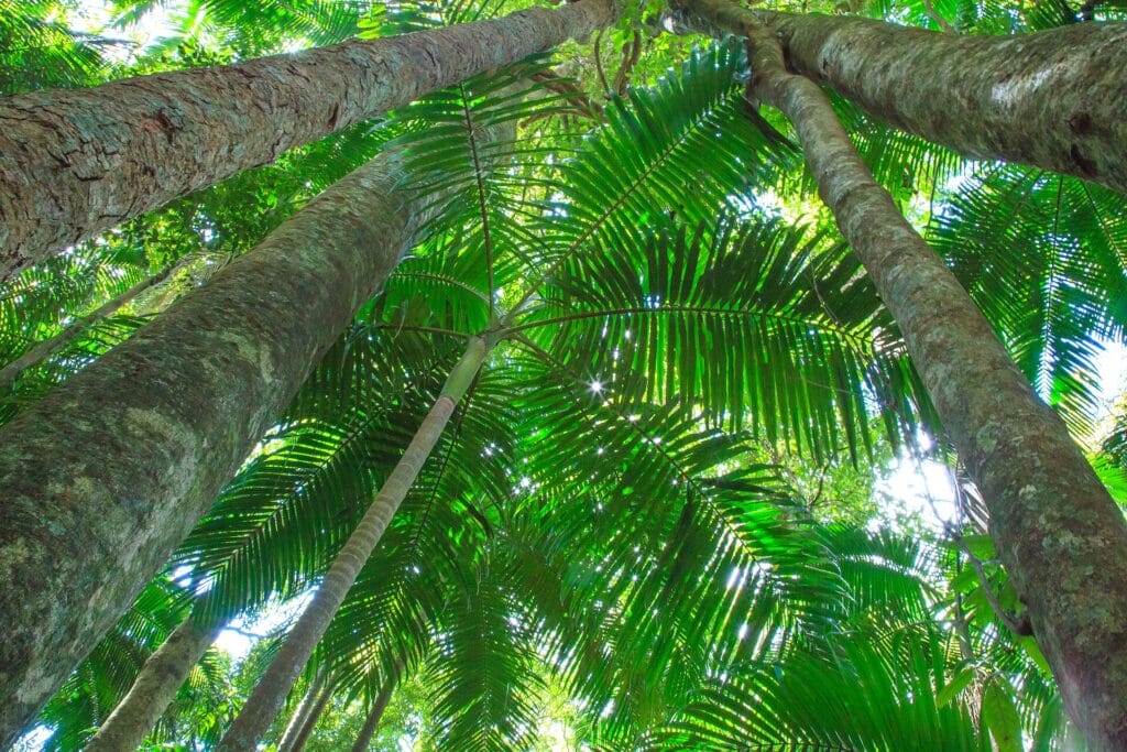 Day Trips From Sydney