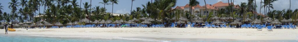 A Dominican Republic palm beach