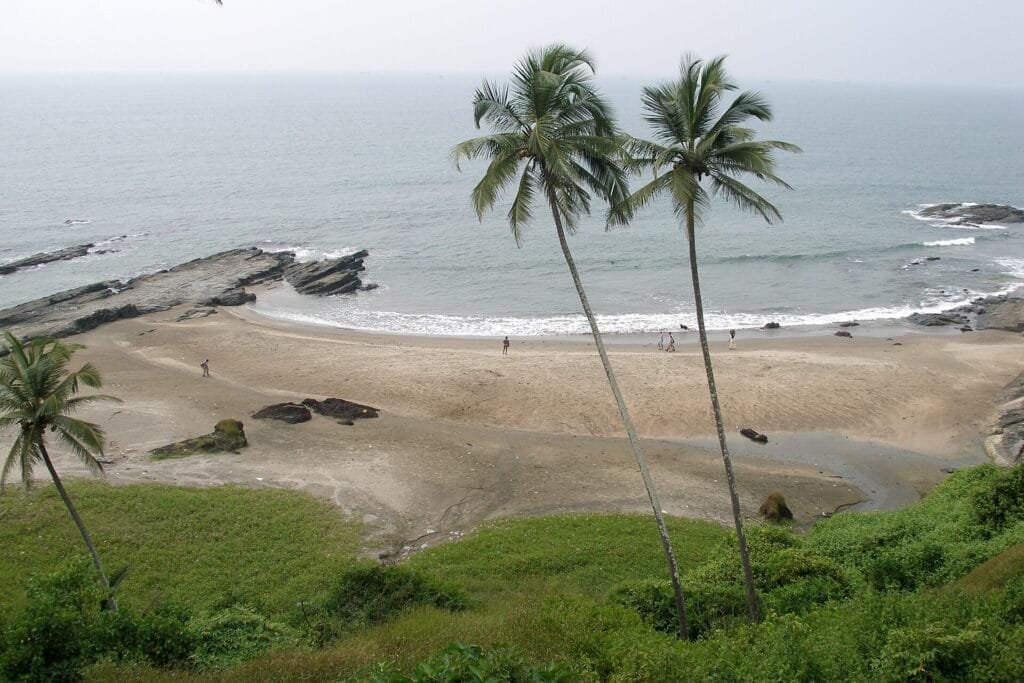 Goa's palm-fringed beaches