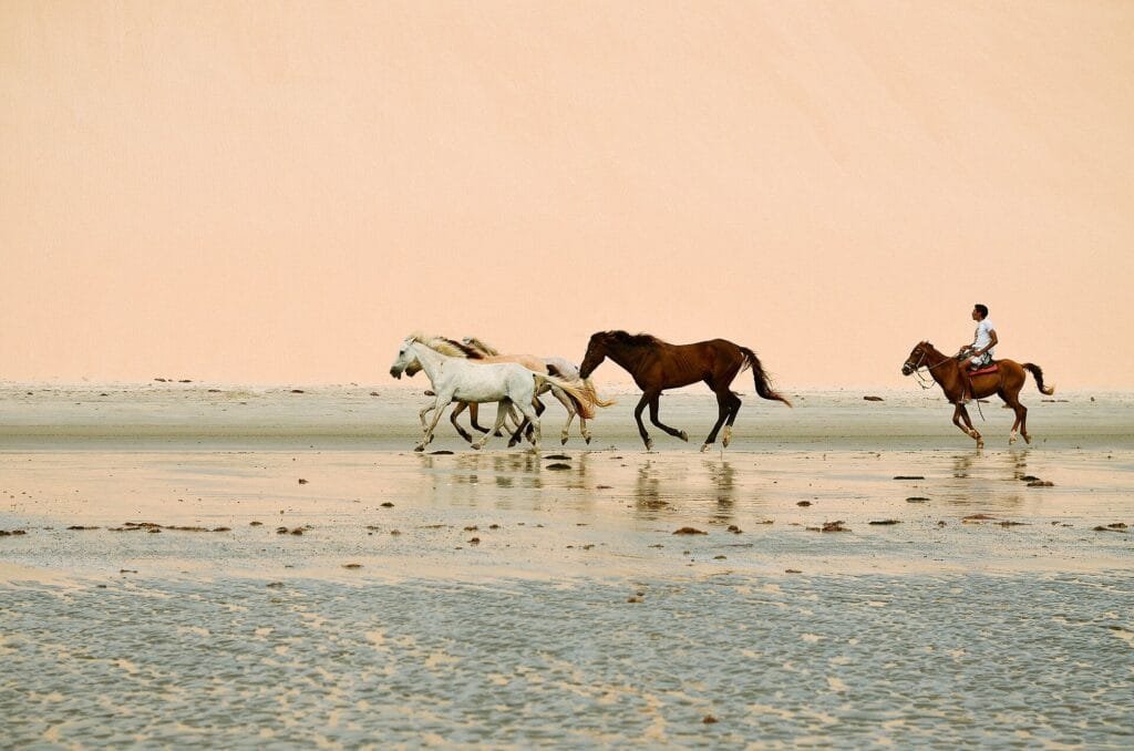 Jericoacoara, Brazil