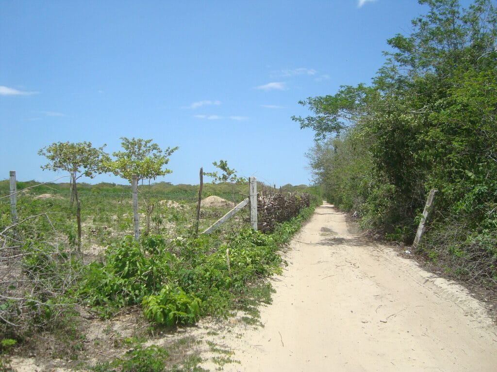 Jericoacoara, Brazil