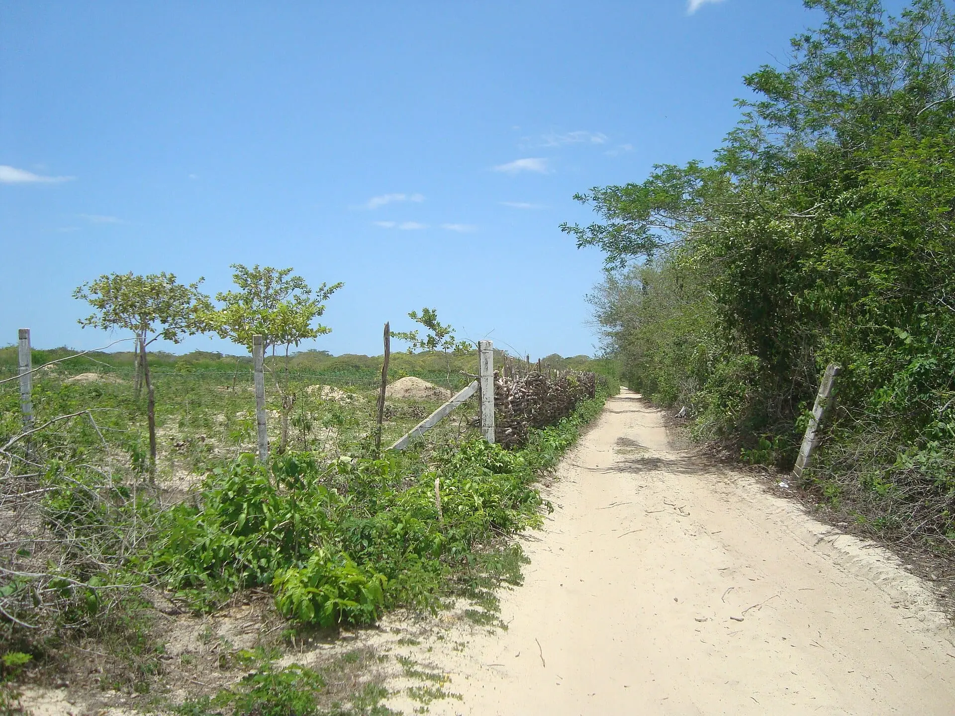 Jericoacoara, Brazil