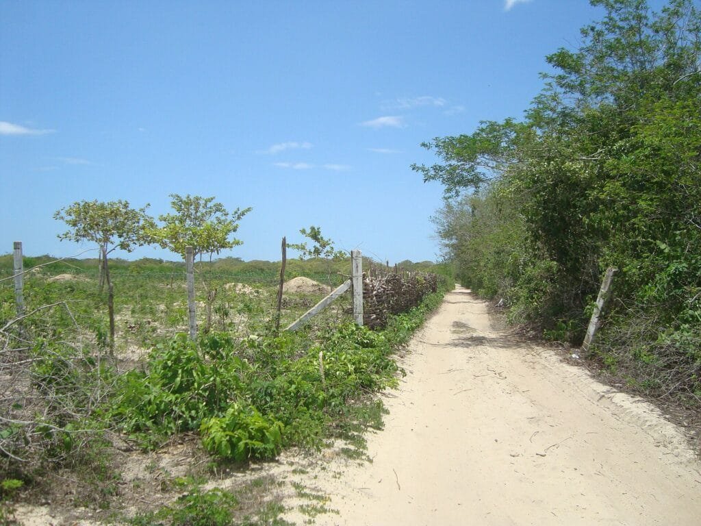 Jericoacoara, Brazil