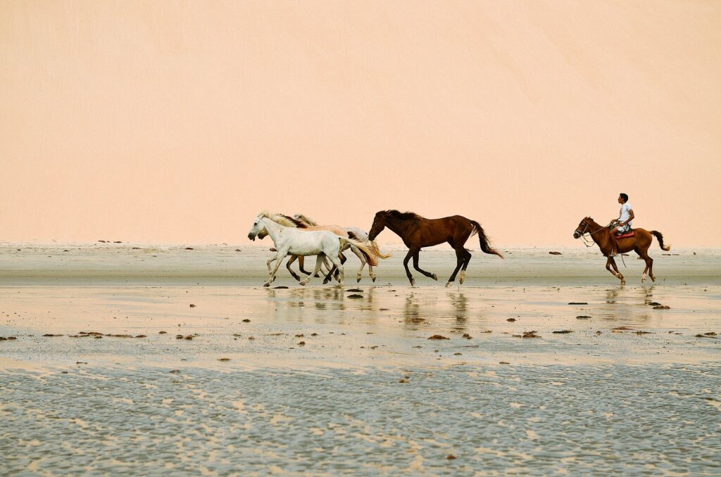 The dunes of Jericoacoara, Brazil