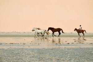 See the updated Jericoacoara Guide