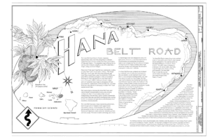 Getting Around Maui: Transport Guide for Visitors