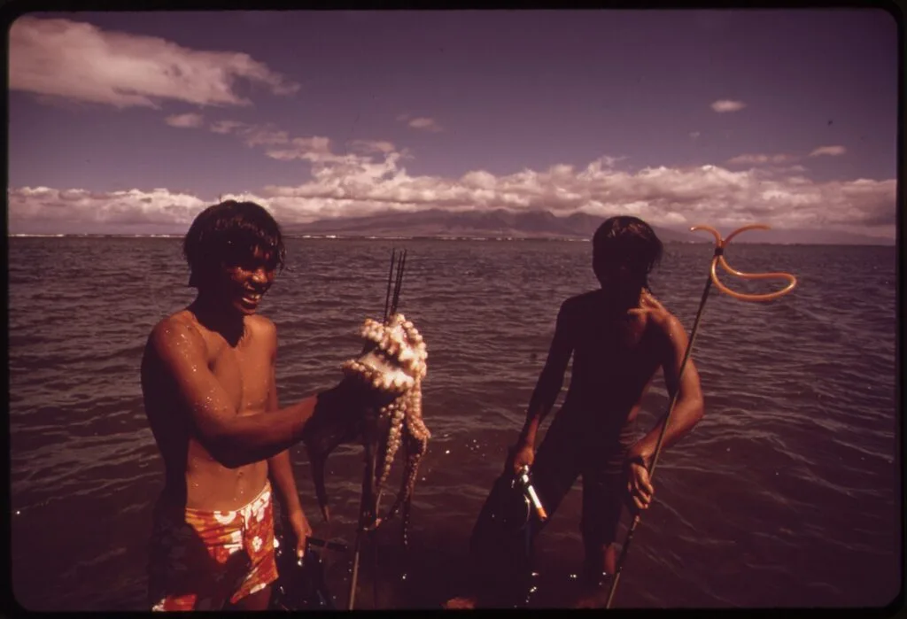 Maui — The Road to Hana