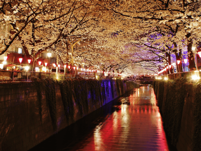Things to Do in Nakameguro, Tokyo (2026): Canal Cafes, Vintage & Sakura