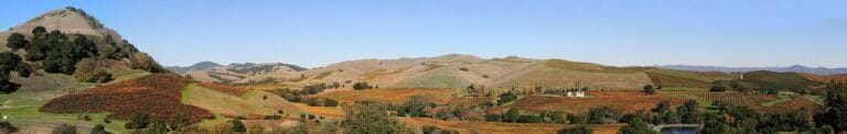 15 Best Things to Do in Napa Valley (Beyond Wine Tasting)