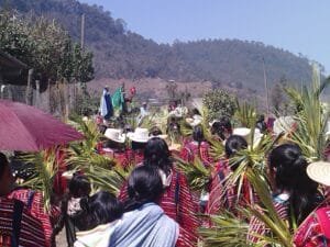 Getting Around Oaxaca: Transport Guide for Visitors