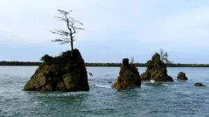 Oregon