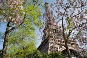 15 Best Foods to Eat in Paris (2026 Local Guide)