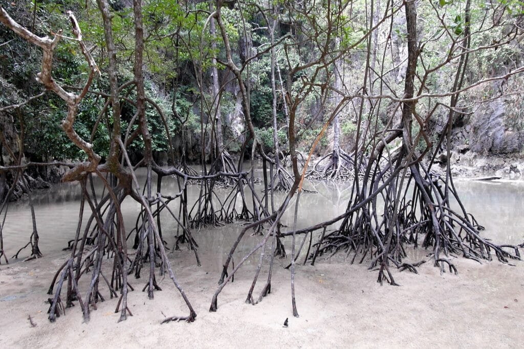 Krabi