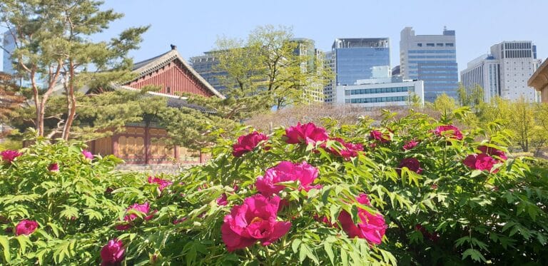Where to Stay in Seoul: The 6 Best Neighborhoods (2026)
