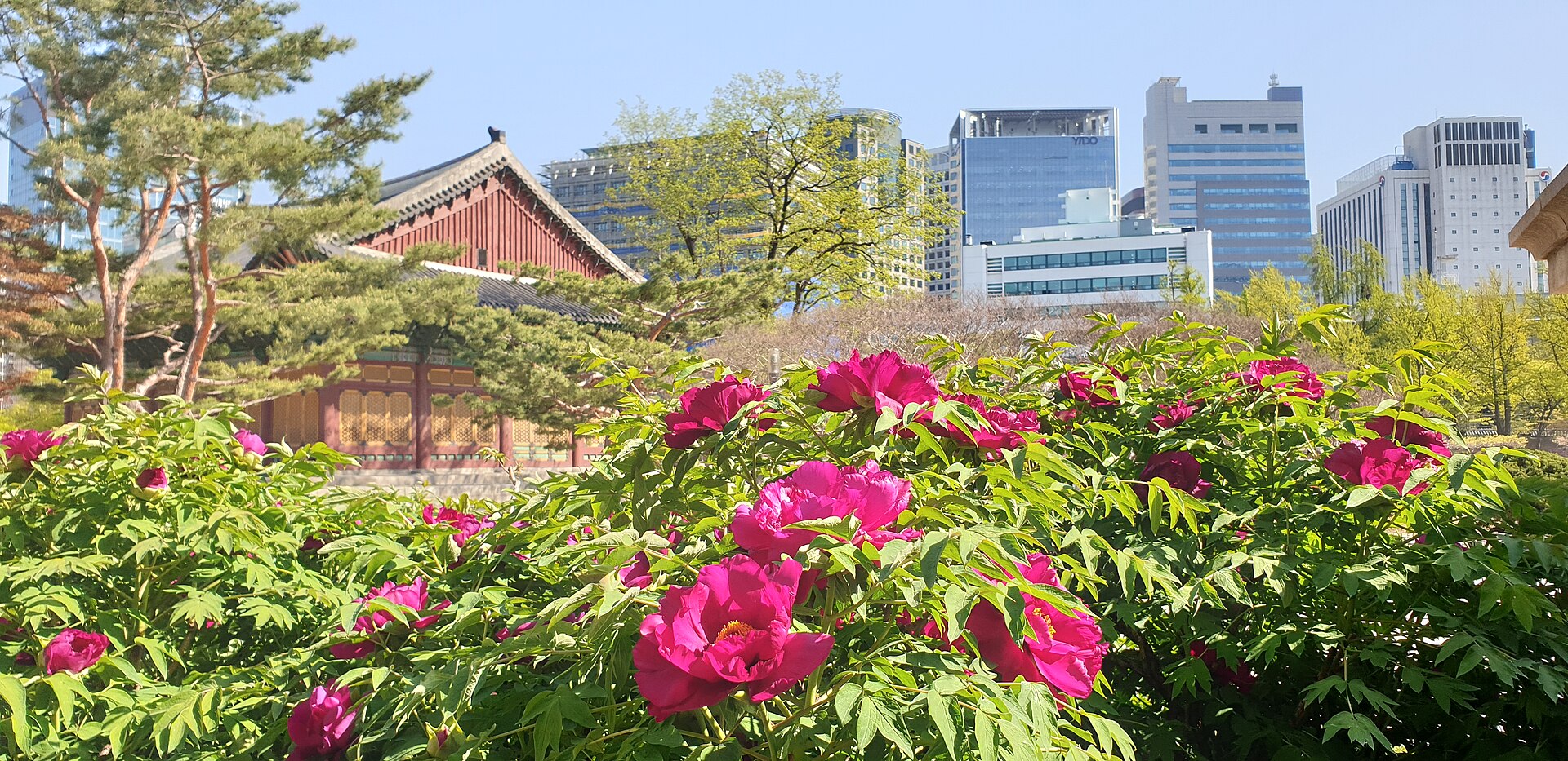 Seoul — Hongdae Youth and Arts District