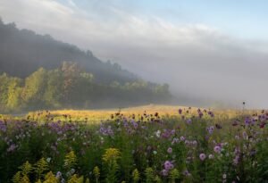 Tennessee