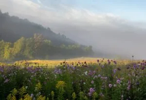 Tennessee
