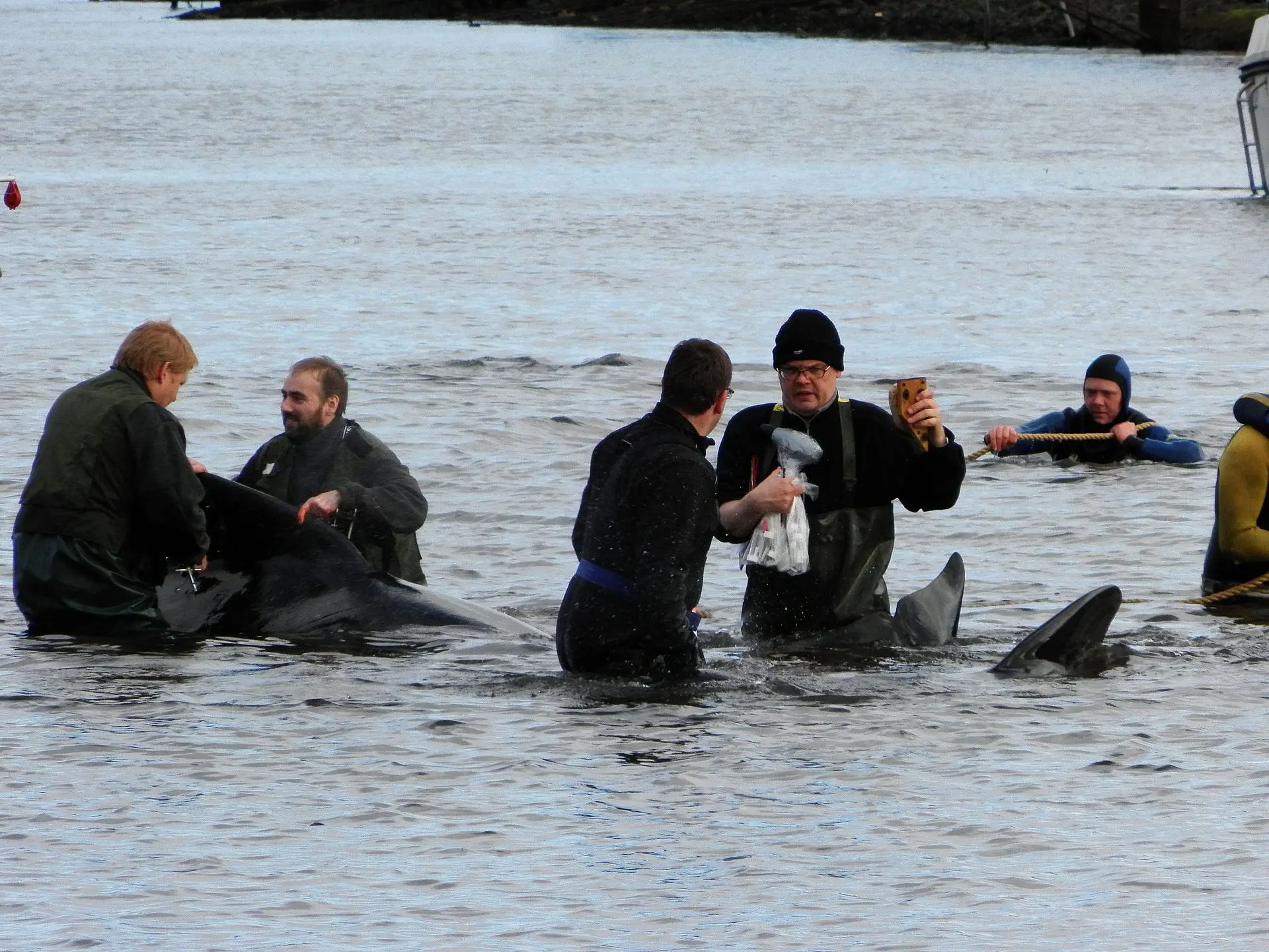 Faroe Islands