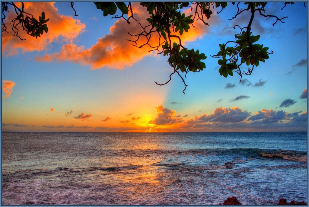 Oahu