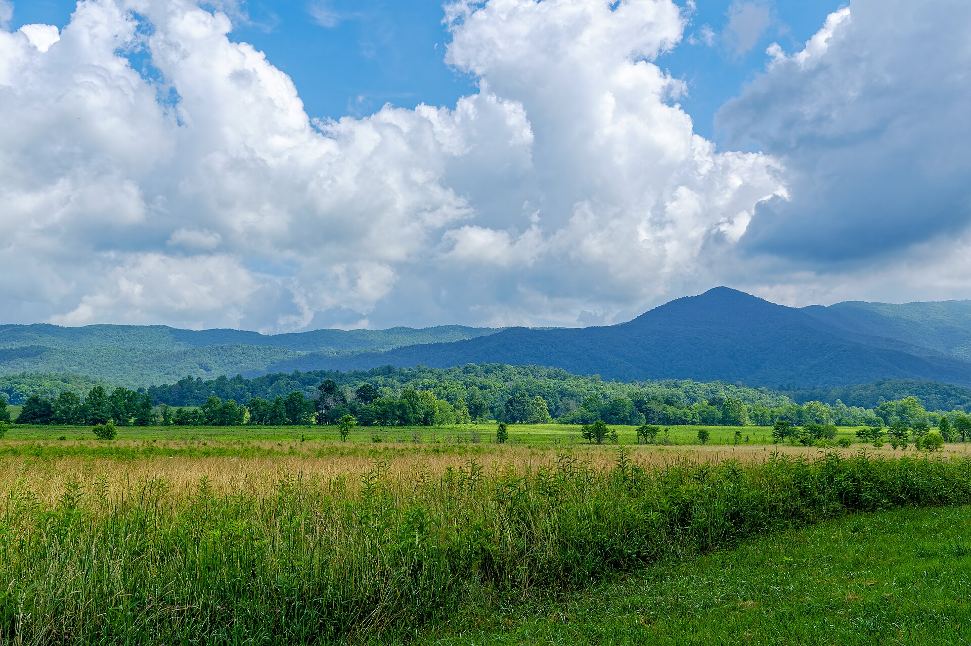 Tennessee