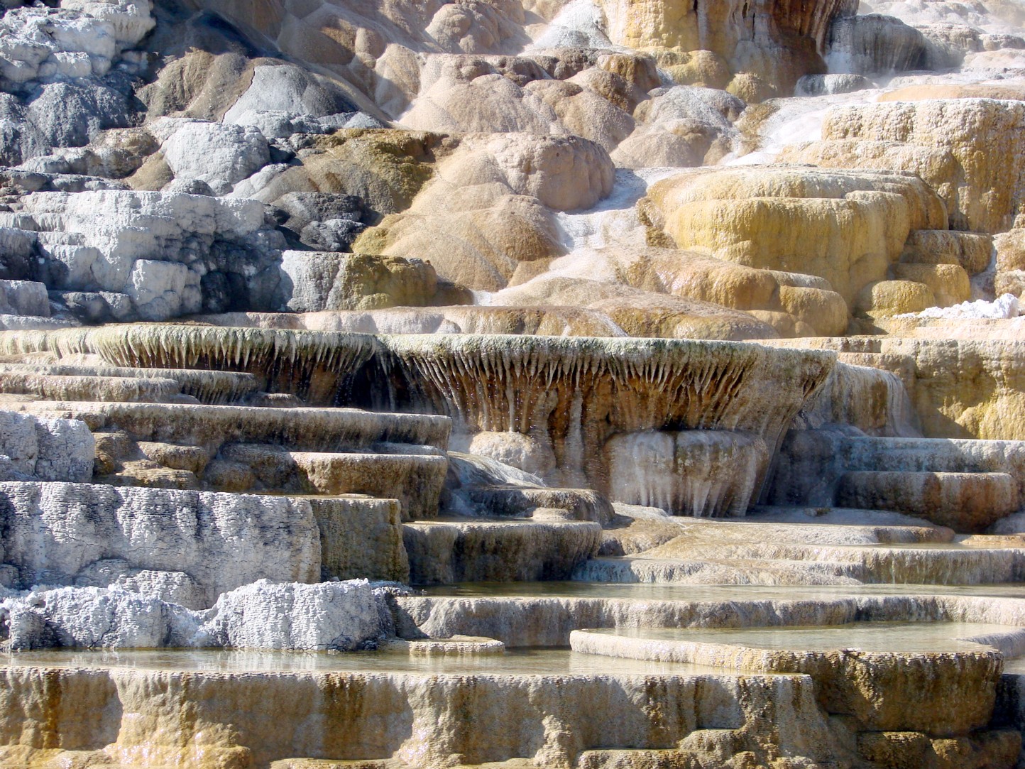 Things To Do Yellowstone National Park