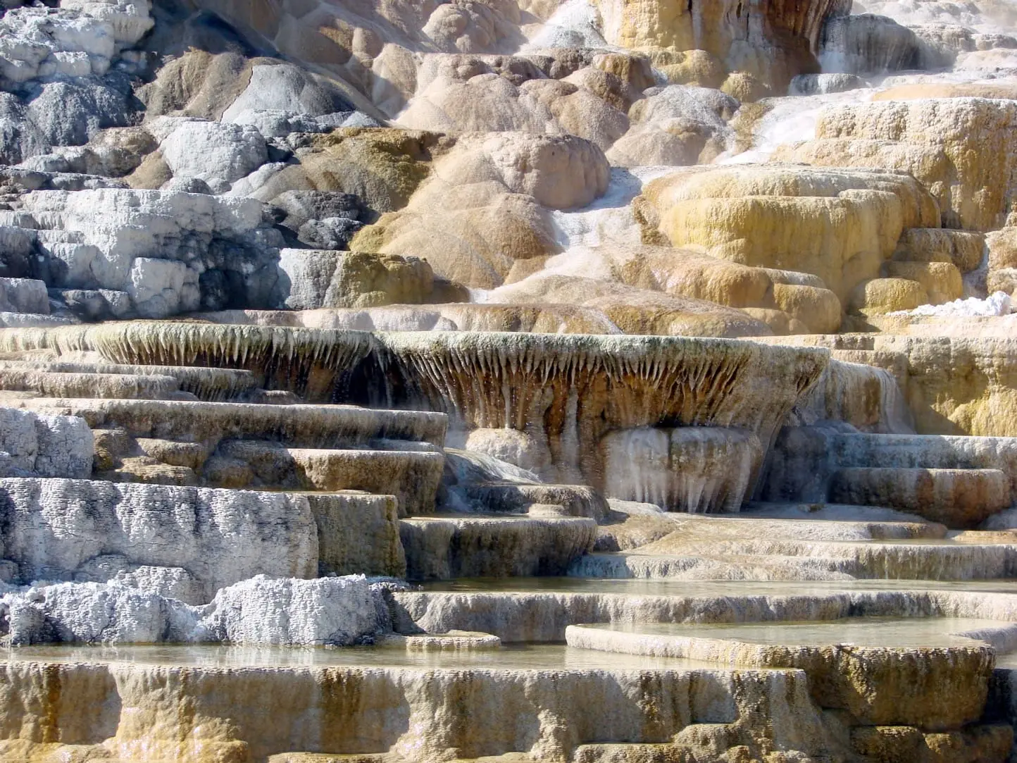 Things To Do Yellowstone National Park