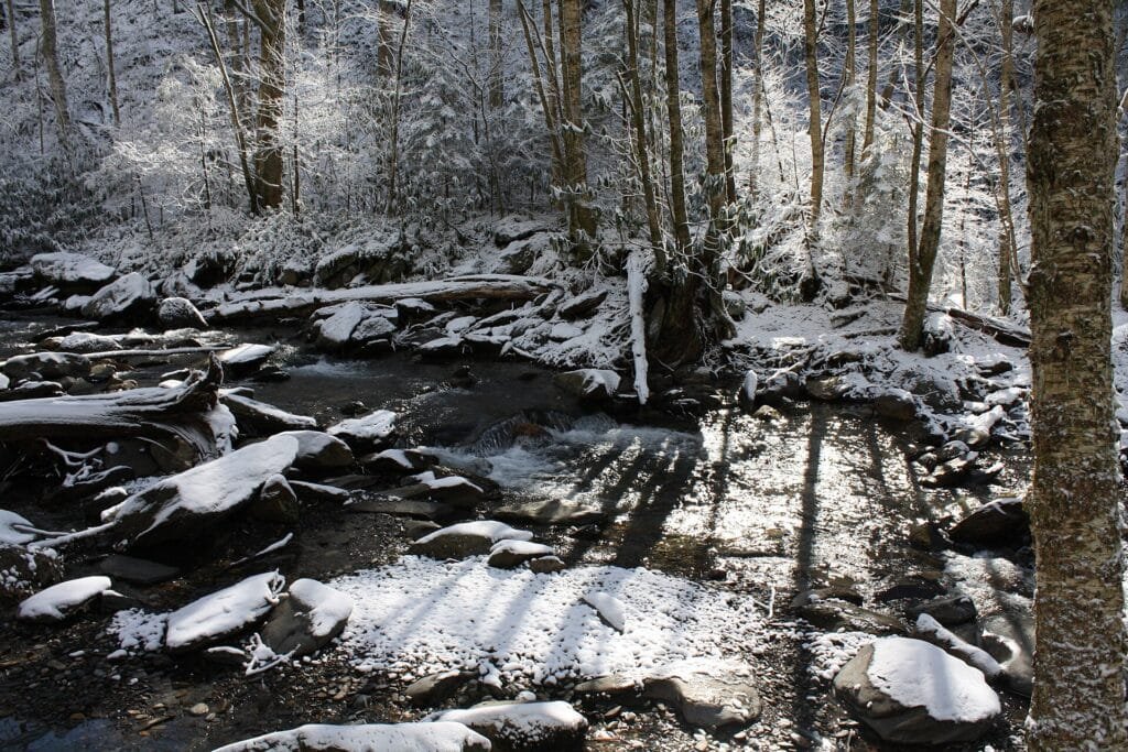North Carolina ski