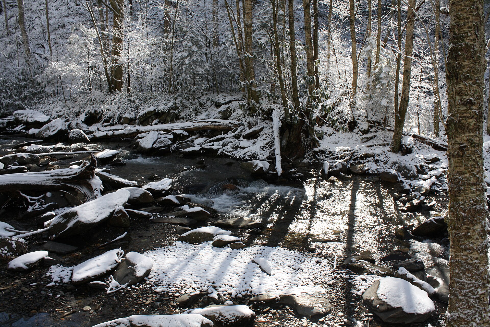 North Carolina ski