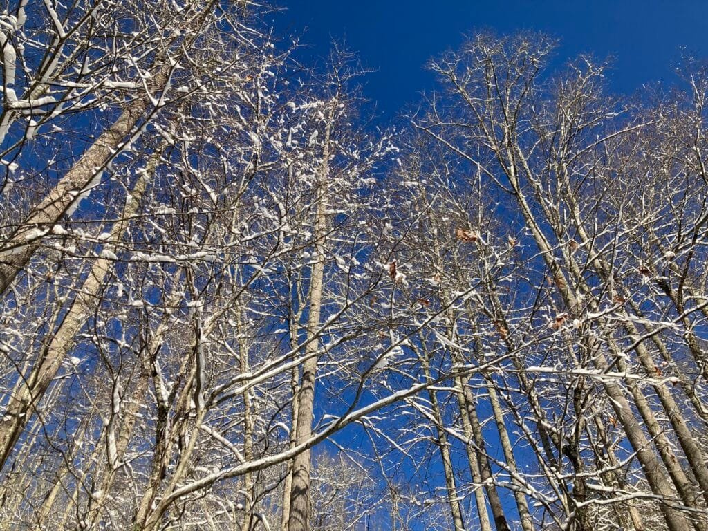 North Carolina ski