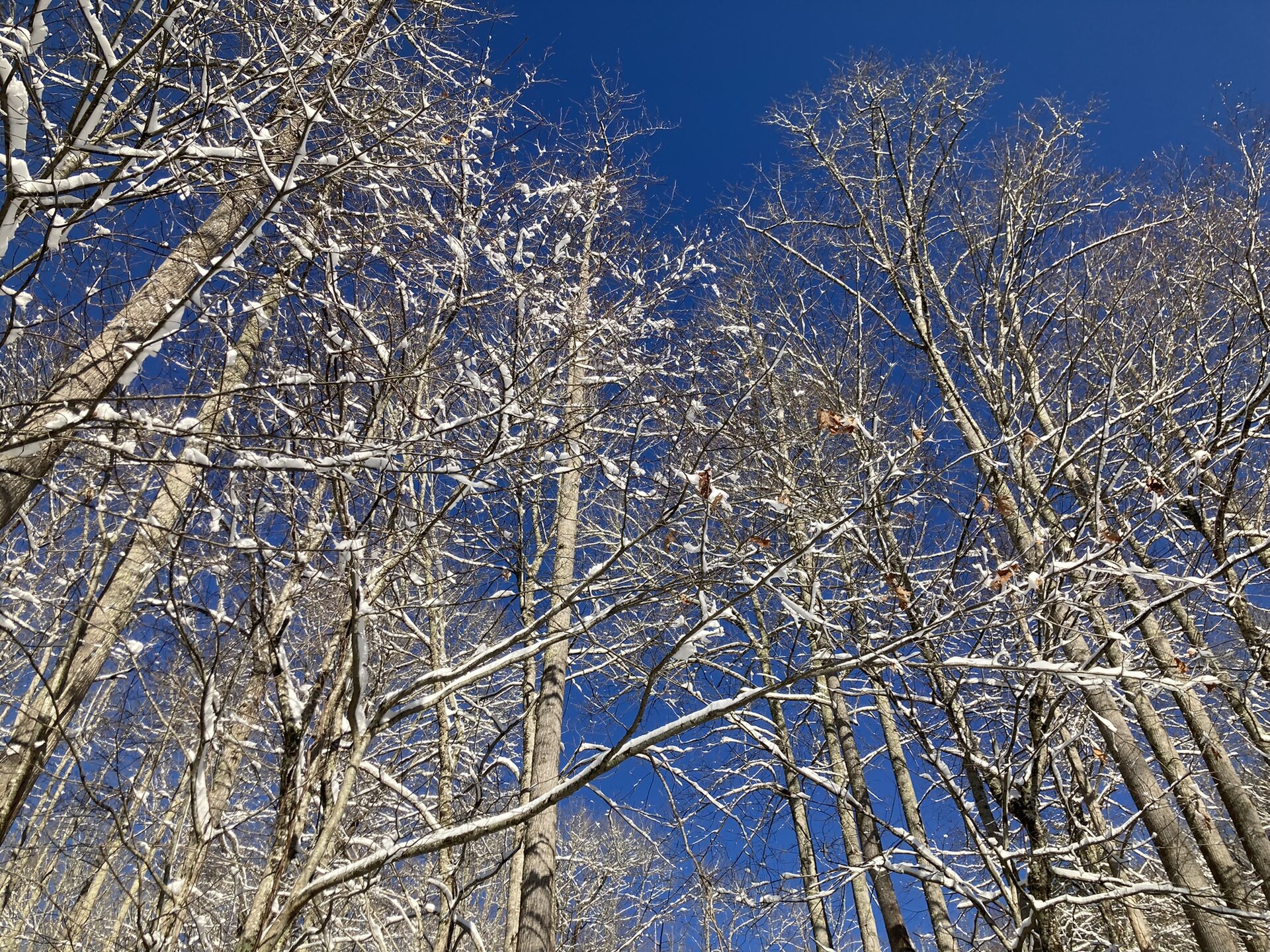 North Carolina ski