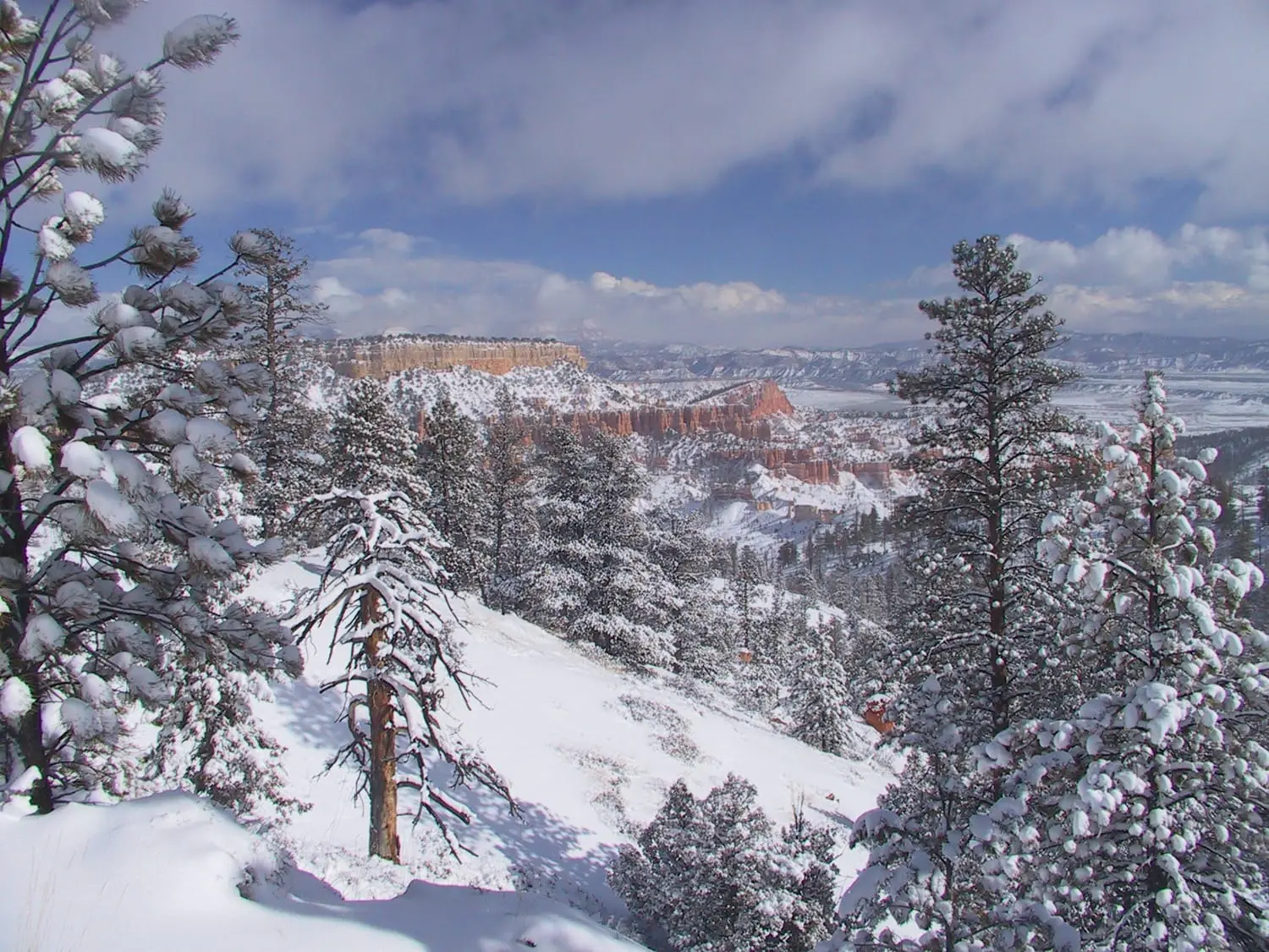 Bryce Canyon's the best campground in Bryce Canyon?