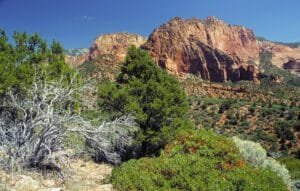 Best Things to Do in Zion National Park
