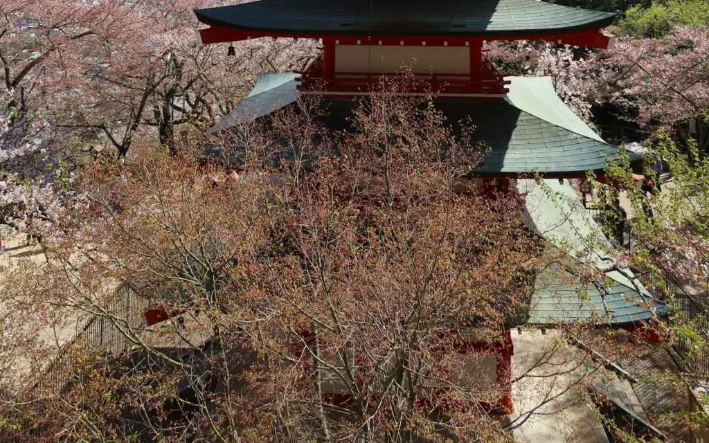 The Chureito Pagoda and cherry trees below Mount Fuji