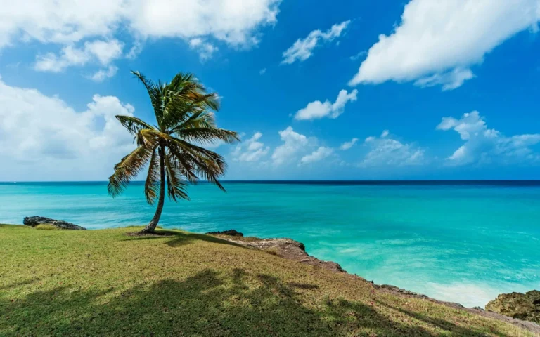 St Lucia vs Barbados (2026): Which Caribbean Island Should You Actually Pick?