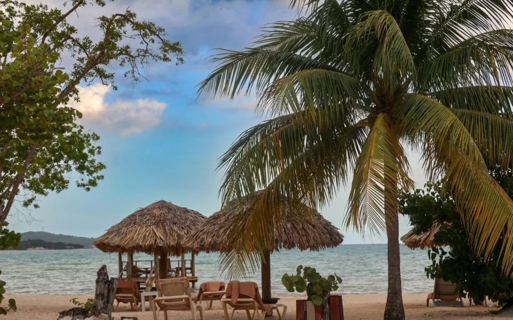 Thatched shade and palms on Negril's Seven Mile Beach, Jamaica
