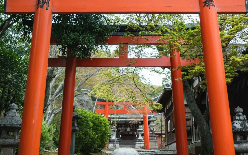 The vermilion torii gates of Fushimi Inari shrine in Kyoto, Japan